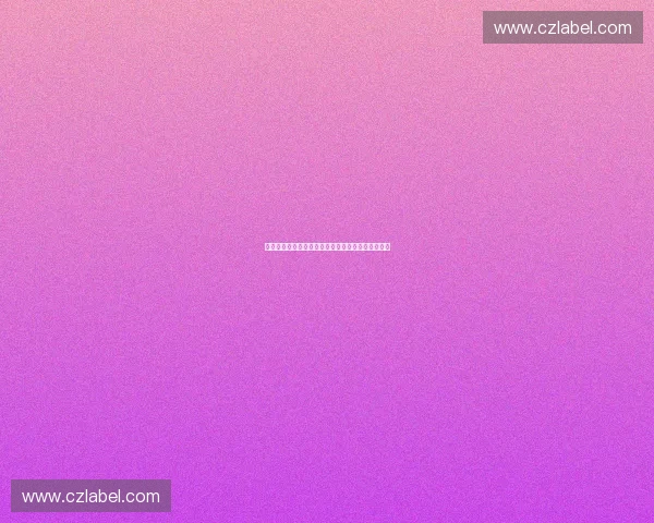 全球视角下体育品牌价值与市场竞争力综合评估研究